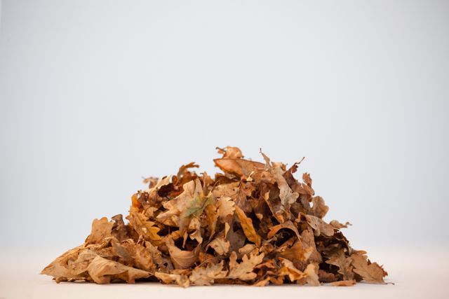 Pile of autumn leaves - Download Free Stock Photos Pikwizard.com