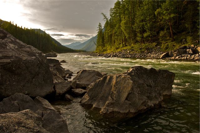 Creek River Nature Landscape - Download Free Stock Photos Pikwizard.com
