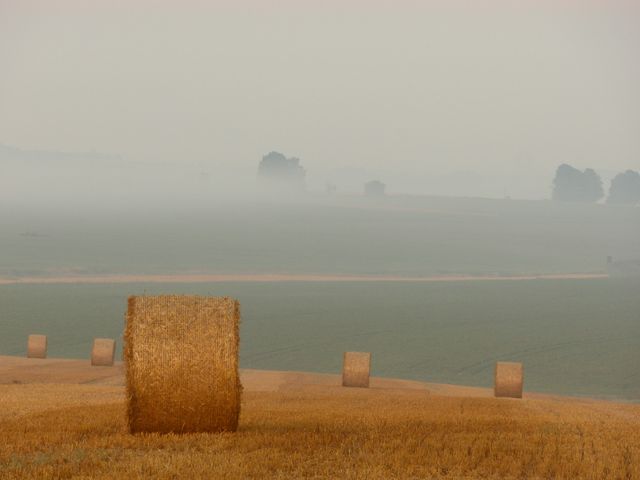 Field fog agriculture harvest - Download Free Stock Photos Pikwizard.com