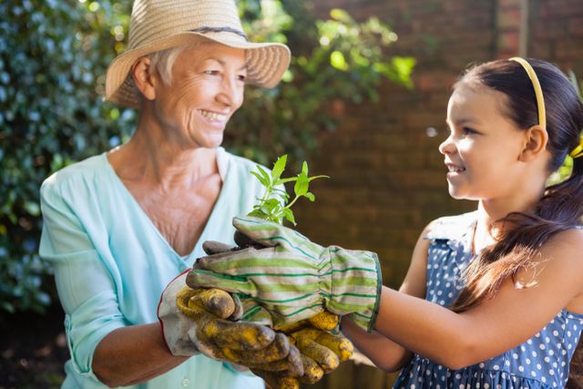 Smiling granddaughter and grandmother holding seedling - Download Free Stock Photos Pikwizard.com