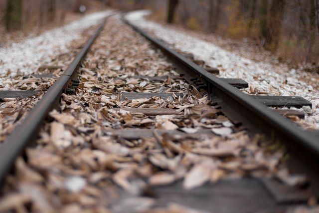 Railroad Tracks With Leaves - Download Free Stock Photos Pikwizard.com