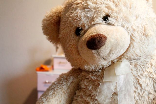 Teddy bear toy bear closeup - Download Free Stock Photos Pikwizard.com