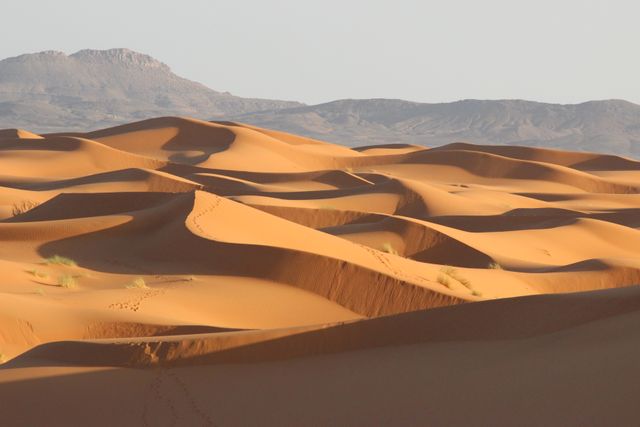 View of sand dunes in the desert. nature and ecology concept