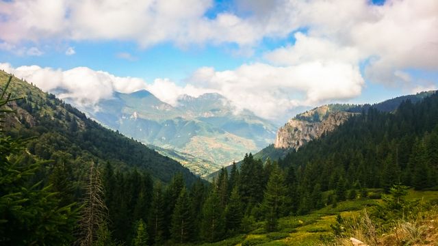 a mountain valley with trees and clouds - Download Free Stock Photos Pikwizard.com