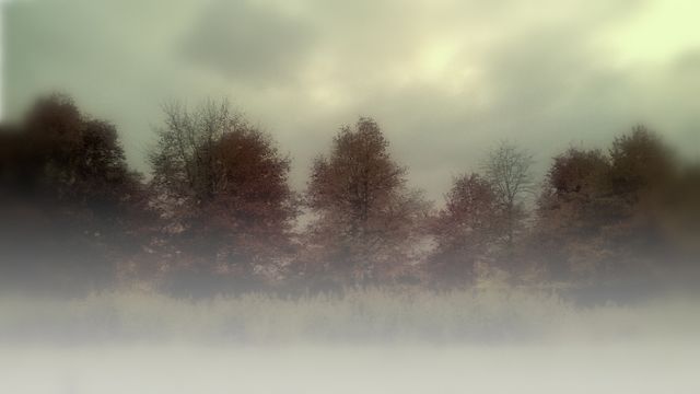 Fog landscape - Download Free Stock Photos Pikwizard.com