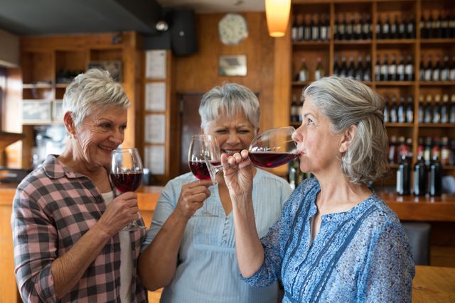 Female senior friends having red wine in restaurant - Download Free Stock Photos Pikwizard.com