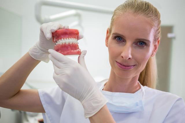 Portrait of female dentist holding a set of set of dentures - Download Free Stock Photos Pikwizard.com