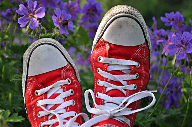 Free Shoes Wallpaper Images & Backgrounds - Royalty Free Pictures,  Unlimited Downloads | Pikwizard