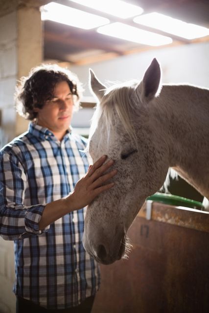 Man caressing the brown horse in the stable - Download Free Stock Photos Pikwizard.com