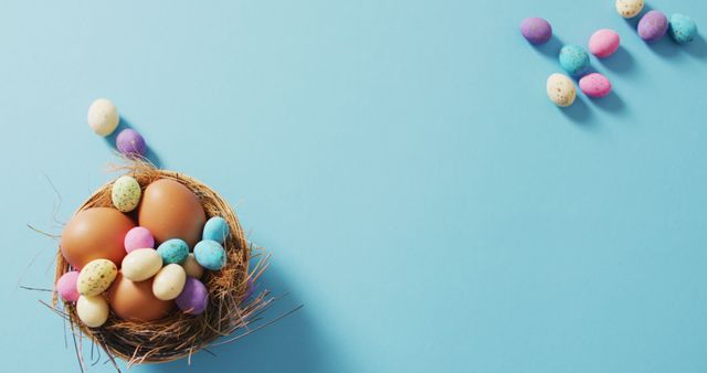 Image of decorated colorful easter eggs on a blue surface - Download Free Stock Photos Pikwizard.com