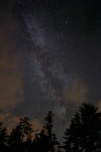 Sky night trees stars - Download Free Stock Photos Pikwizard.com