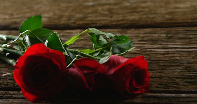 Three red roses on wooden surface - Download Free Stock Photos Pikwizard.com