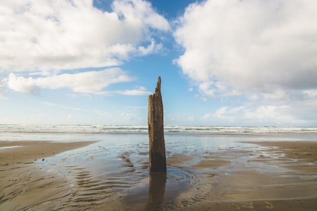Sand sea beach seashore - Download Free Stock Photos Pikwizard.com