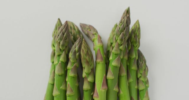 Image of close up of fresh asparagus over white background - Download Free Stock Photos Pikwizard.com