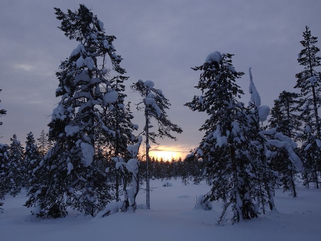 Finland winter winter landscape - Download Free Stock Photos Pikwizard.com