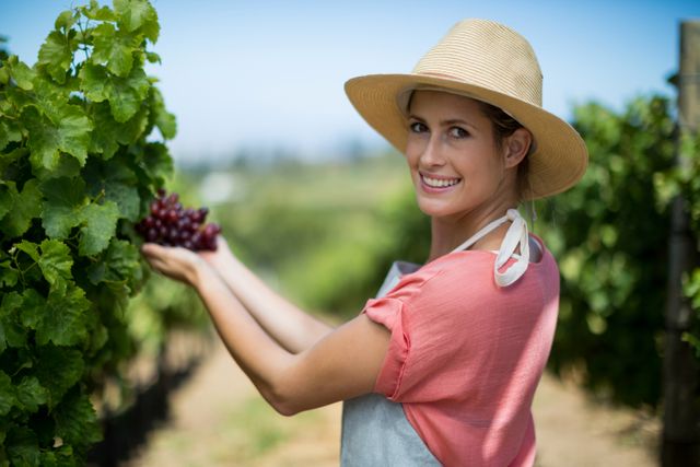 Portrait of happy farmer holding red grapes - Download Free Stock Photos Pikwizard.com