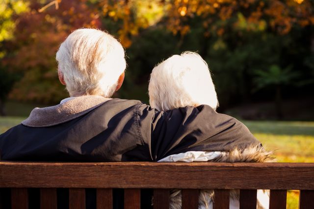 Senior couple embracing on a bench - Download Free Stock Photos Pikwizard.com