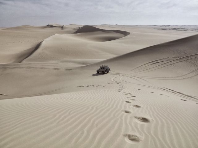 Desert sand footprints- Download Free Stock Photos Pikwizard.com