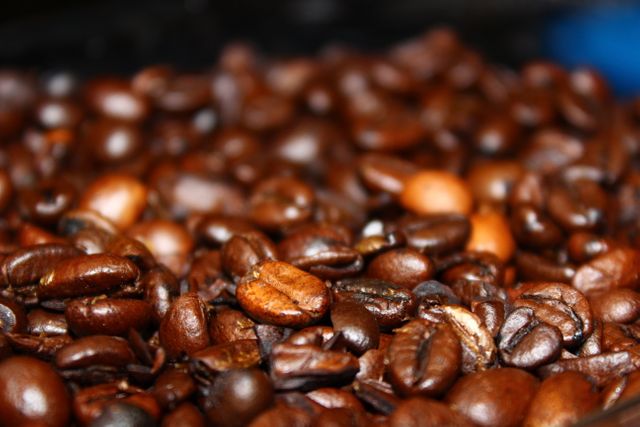 Coffee Beans in Macro Lens - Download Free Stock Photos Pikwizard.com