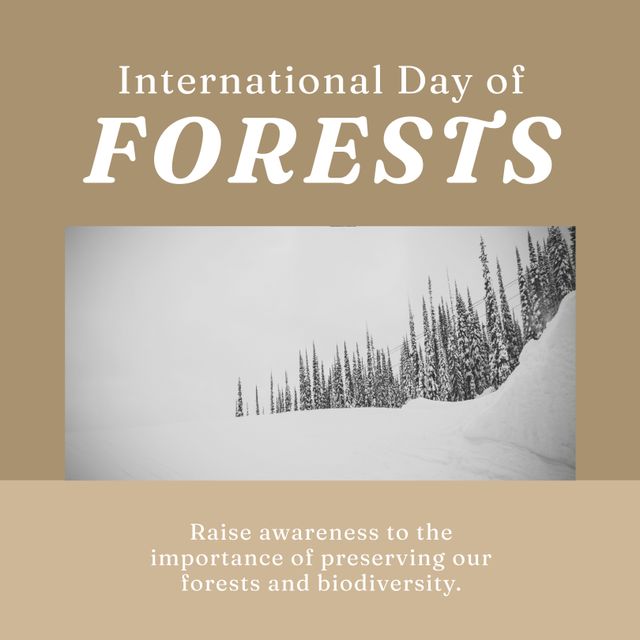 Composition of international day of forests text over forest on beige background. International day of forests and celebration concept digitally generated image.