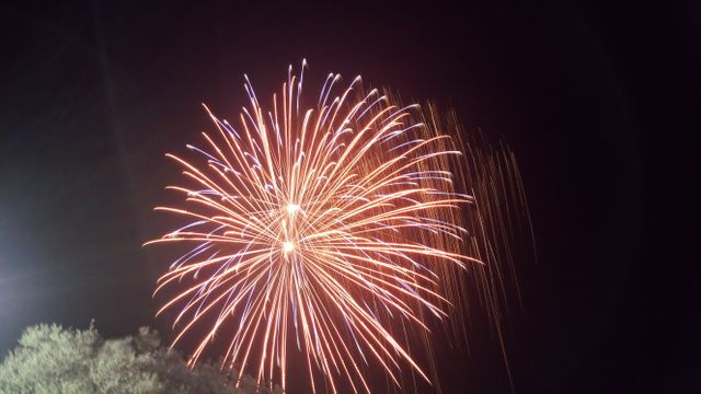 Explosion of fireworks in night sky .  Event, party and celebration concept

