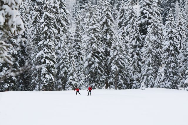 two people skiing in the snow - Download Free Stock Photos Pikwizard.com