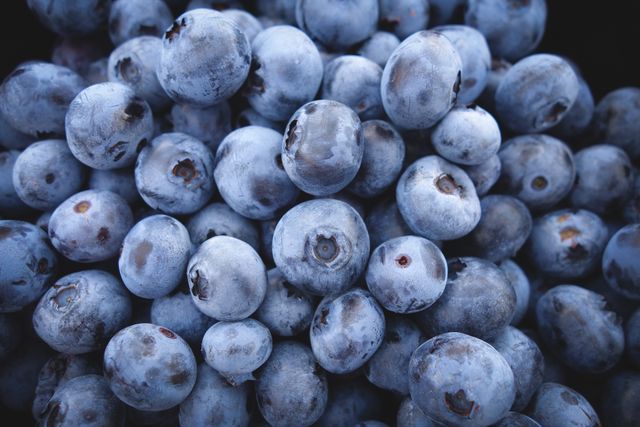 Fruits healthy closeup blueberries - Download Free Stock Photos Pikwizard.com
