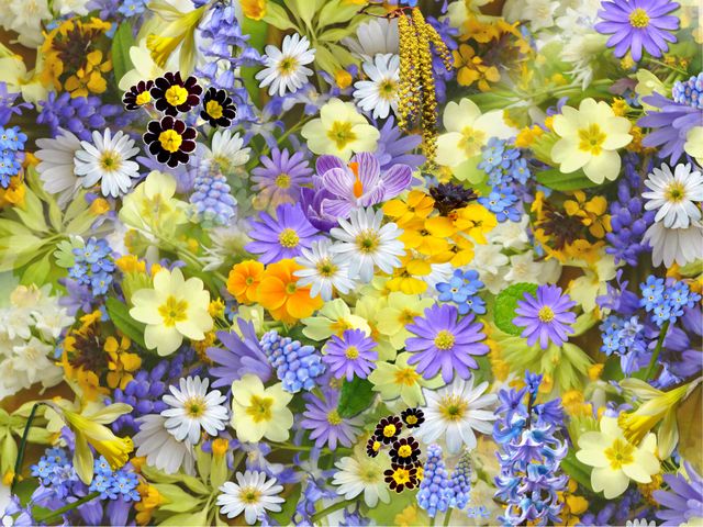 a floral pattern with blue, yellow and purple flowers - Download Free Stock Photos Pikwizard.com