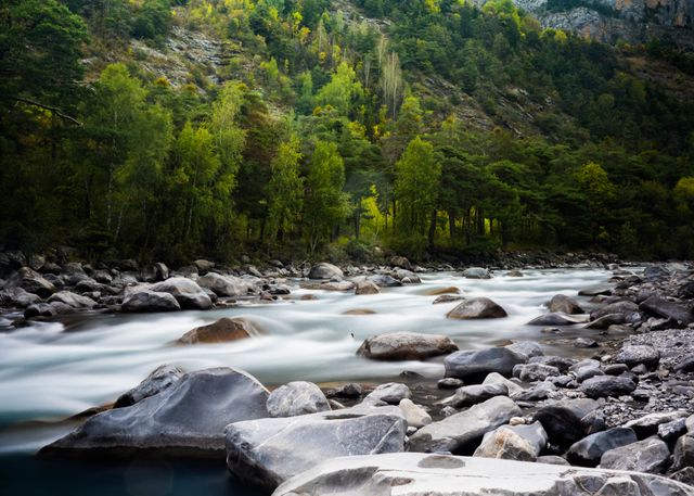 Time Lapse Photography of Rocky River Surrounded by Trees - Download Free Stock Photos Pikwizard.com