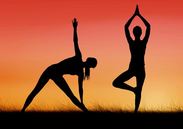 Silhouette of women practicing yoga on grass - Download Free Stock Photos Pikwizard.com