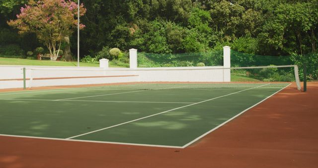 Empty outdoor tennis court in sun and shade, surrounded by trees - Download Free Stock Photos Pikwizard.com