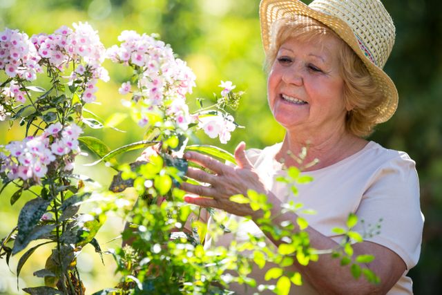 Senior woman examining flowers in garden - Download Free Stock Photos Pikwizard.com