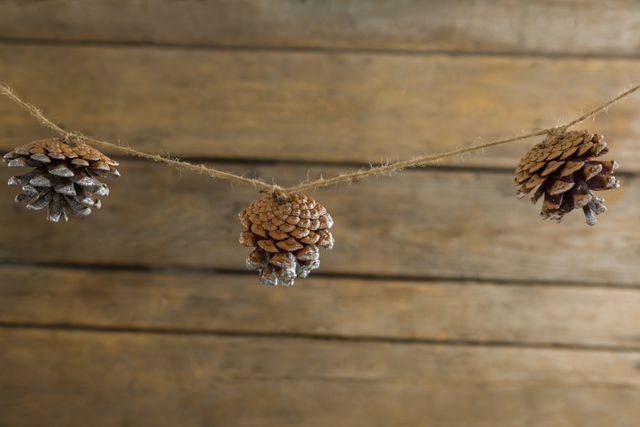 Close up of pine cones hanging on rope - Download Free Stock Photos Pikwizard.com