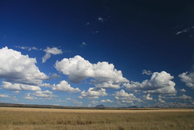Africa bush cloud landscape - Download Free Stock Photos Pikwizard.com