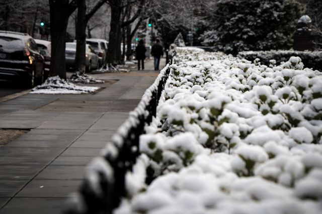 a snow covered sidewalk - Download Free Stock Photos Pikwizard.com