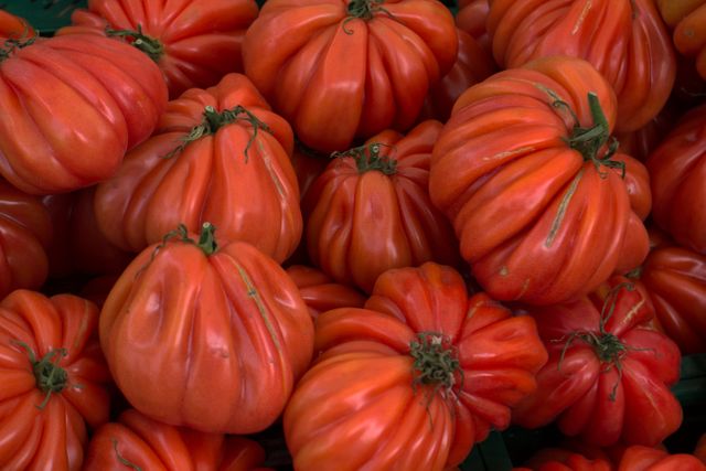 a bunch of tomatoes - Download Free Stock Photos Pikwizard.com