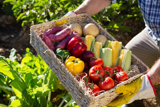 Mid section of man holding a basket of fresh vegetables - Download Free Stock Photos Pikwizard.com