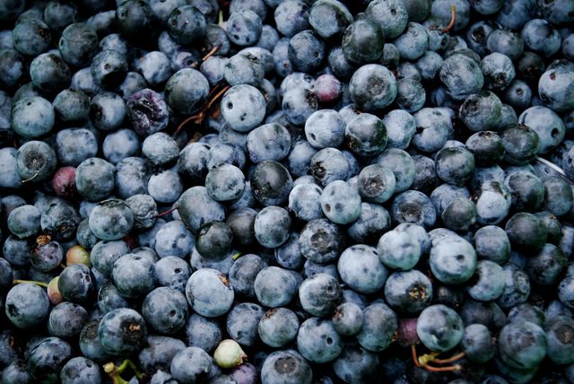 Grape Fruit Berry - Download Free Stock Photos Pikwizard.com