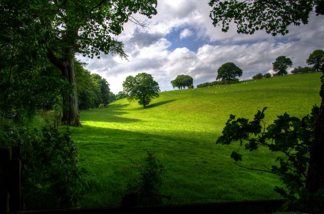 Green Hill With Tree Under White Clouds and Blue Sky during Daytime - Download Free Stock Photos Pikwizard.com