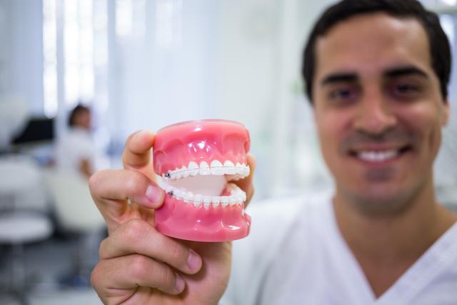 Portrait of dentist holding a set of dentures - Download Free Stock Photos Pikwizard.com