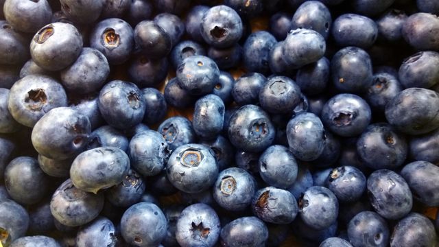 a bunch of blueberries - Download Free Stock Photos Pikwizard.com