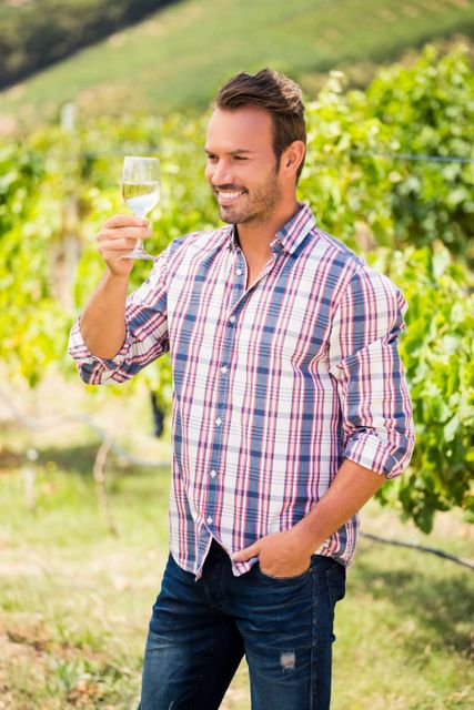 Smiling man holding wineglass at vineyard - Download Free Stock Photos Pikwizard.com