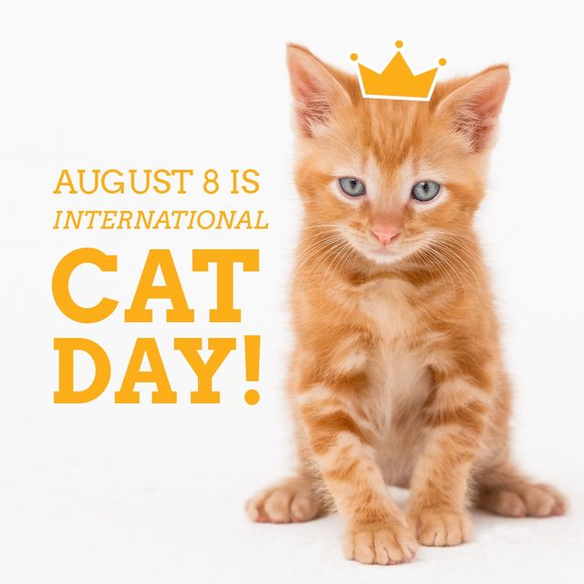 Composite of ginger cat with crown and august 8 is international cat day text on white background. copy space, pet, animal, protection and awareness concept.