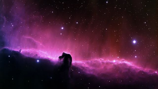 the horsehead nebula - Download Free Stock Photos Pikwizard.com