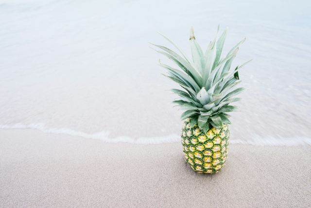 Pineapple Fruit on Shore - Download Free Stock Photos Pikwizard.com