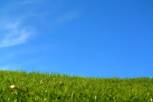 Field Grass Landscape - Download Free Stock Photos Pikwizard.com
