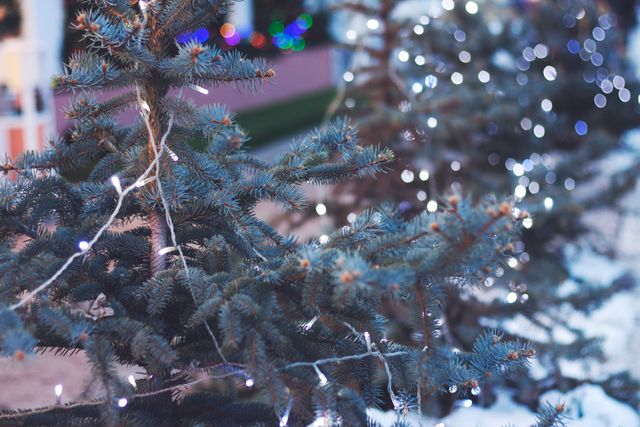 White Lighted Christmas Light on Christmas Tree - Download Free Stock Photos Pikwizard.com