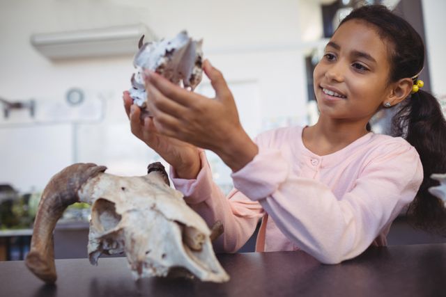 Happy elementary student examining animal skull by desk - Download Free Stock Photos Pikwizard.com