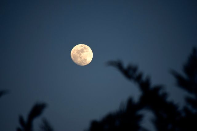 Moon Sky - Download Free Stock Photos Pikwizard.com