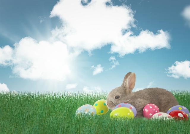 Digital composite of Rabbit with Easter eggs with sky background